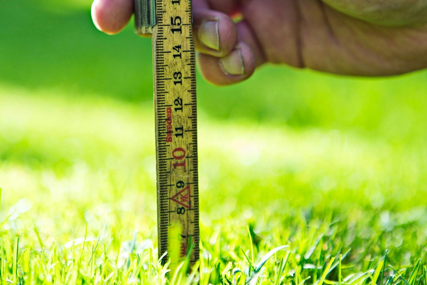 Profftips til plenen Gressplen - slik blir den grønn igjen